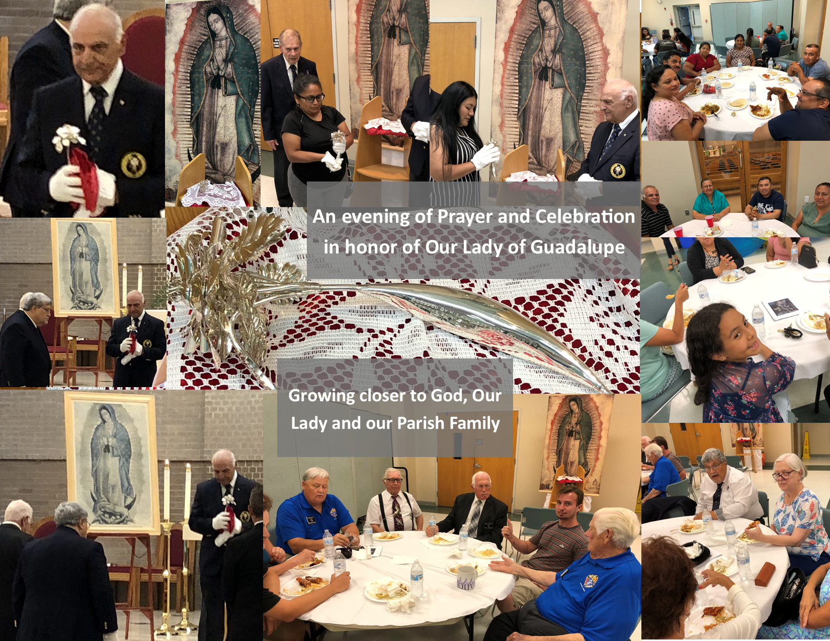 Silver Rose Celebration Collage